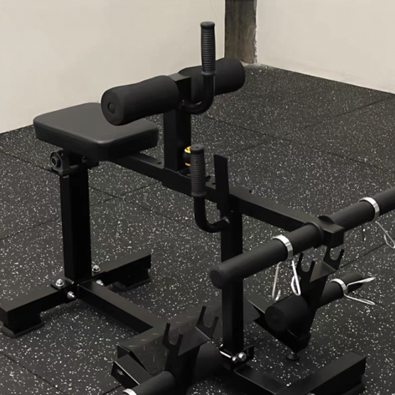 Seated Calf Machine