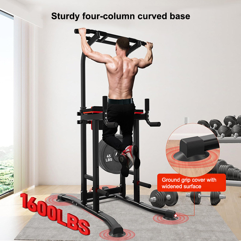 Pull-up & Dip Station