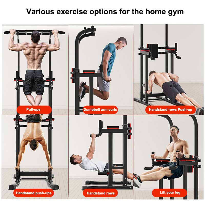 Pull-up & Dip Station