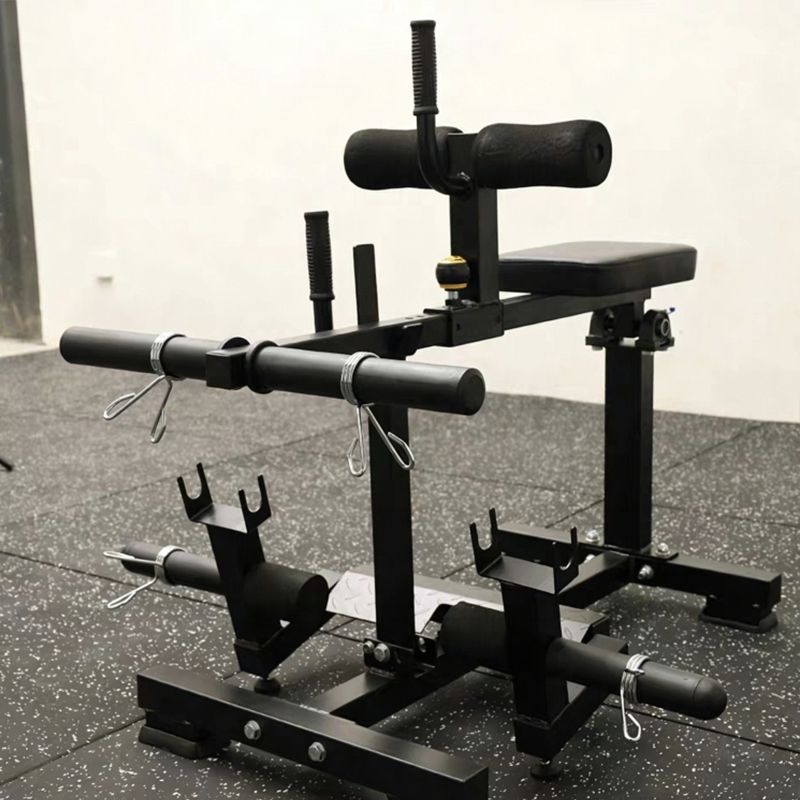 Seated Calf Machine